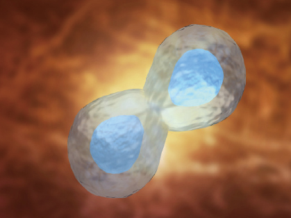 FIP-GMIPLUS